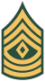 First Sergeant
